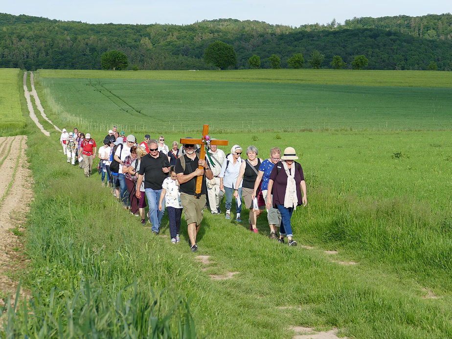 Baunataler Wallfahrt zur Naumburger Fatima Grotte (Foto: Karl-Franz Thiede)